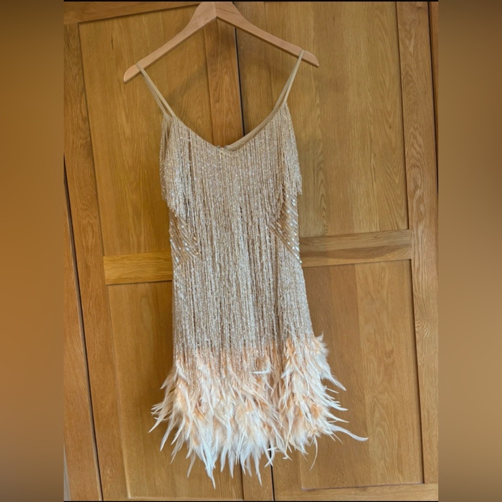 NADINE MERABI LOTTIE Champagne Mini Dress sequins feather - Picture 2 of 10